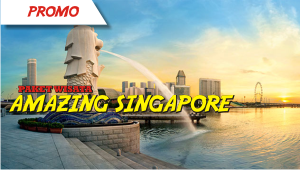 AMAZING SINGAPORE + USS (3D/2N) By AirAsia