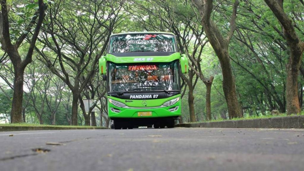 Bookwisata | sewa bus pariwisata pandawa 87 transport malang bis wisata studitour ziarah nyaman terbaru shd bookwisata indonesia warna hijau - Bookwisata